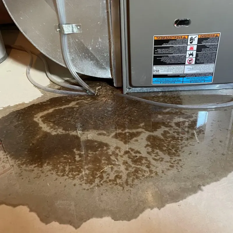 Pipe Burst and Leak Restoration in Montgomery County, AL
