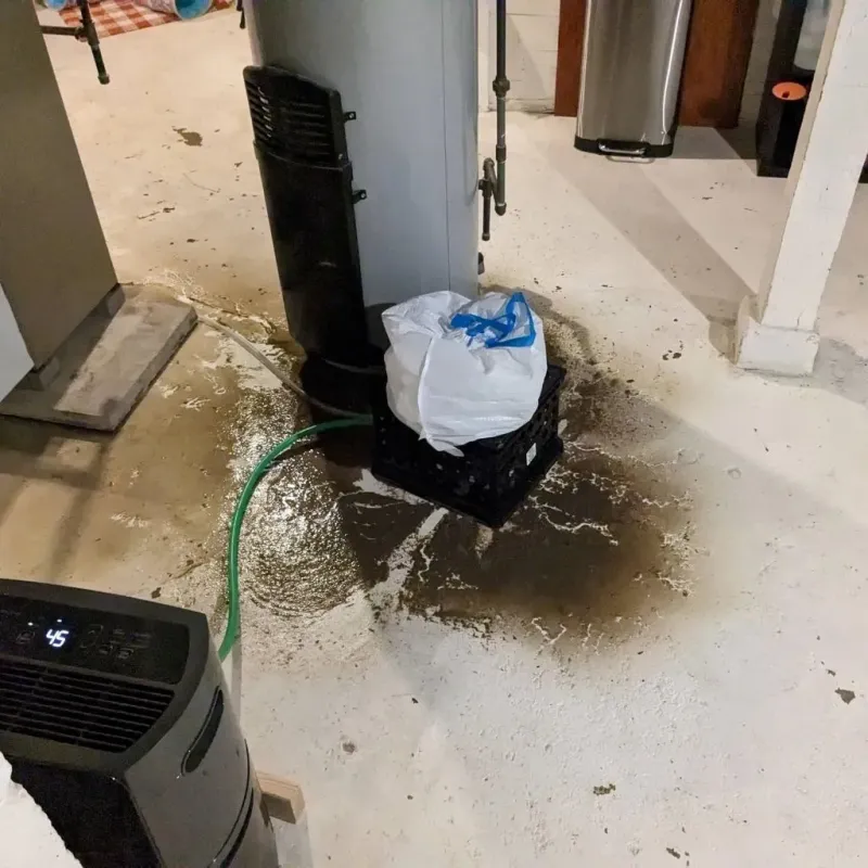 Sewage Backup Cleanup Service in Montgomery County, AL